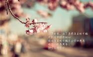 开云体育官网-黄昏的尘土里，孙兴慜的影子拉长成一座丰碑，2026世界杯A组，印度绝杀哥伦比亚的幕后，是亚洲足球的史诗级突围