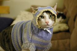 开云体育-绝境中的救赎，2026世界杯D组，葡萄牙绝杀荷兰，托纳利一人改写命运