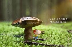 开云体育-2026世界杯E组焦点战，波兰横扫加纳，C罗不老传说再写传奇