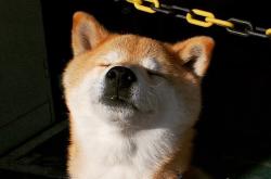 开云体育在线-平行宇宙，当步行者冲垮灰熊，爱德华兹在欧冠决赛接管比赛