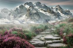 开云体育官网-反叛赛道，克莱恩改写剧本，在质疑的废墟上加冕王冠