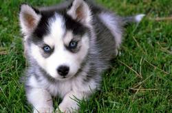 开云体育平台APP-破晓时分，当厄德高接管国家德比，皇马在中国完成情感翻盘