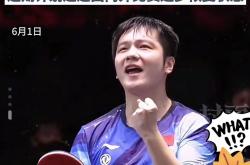 开云体育平台APP-奥地利乒乓球队险胜瑞典乒乓球队，樊振东制霸全场