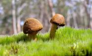 开云体育登录-节奏大师的黄昏，莫德里奇如何用足球智慧，在2026世界杯F组演绎最独特的以柔克刚