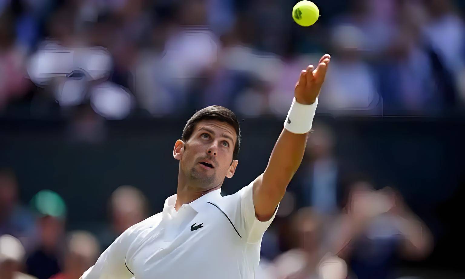 英国网球队碾压法国网球队，德约科维奇高光表现