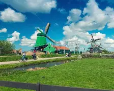 关于荷兰翻盘哥伦比亚,坎特爆发神勇的信息 关于荷兰翻盘哥伦比亚,坎特爆发神勇的信息