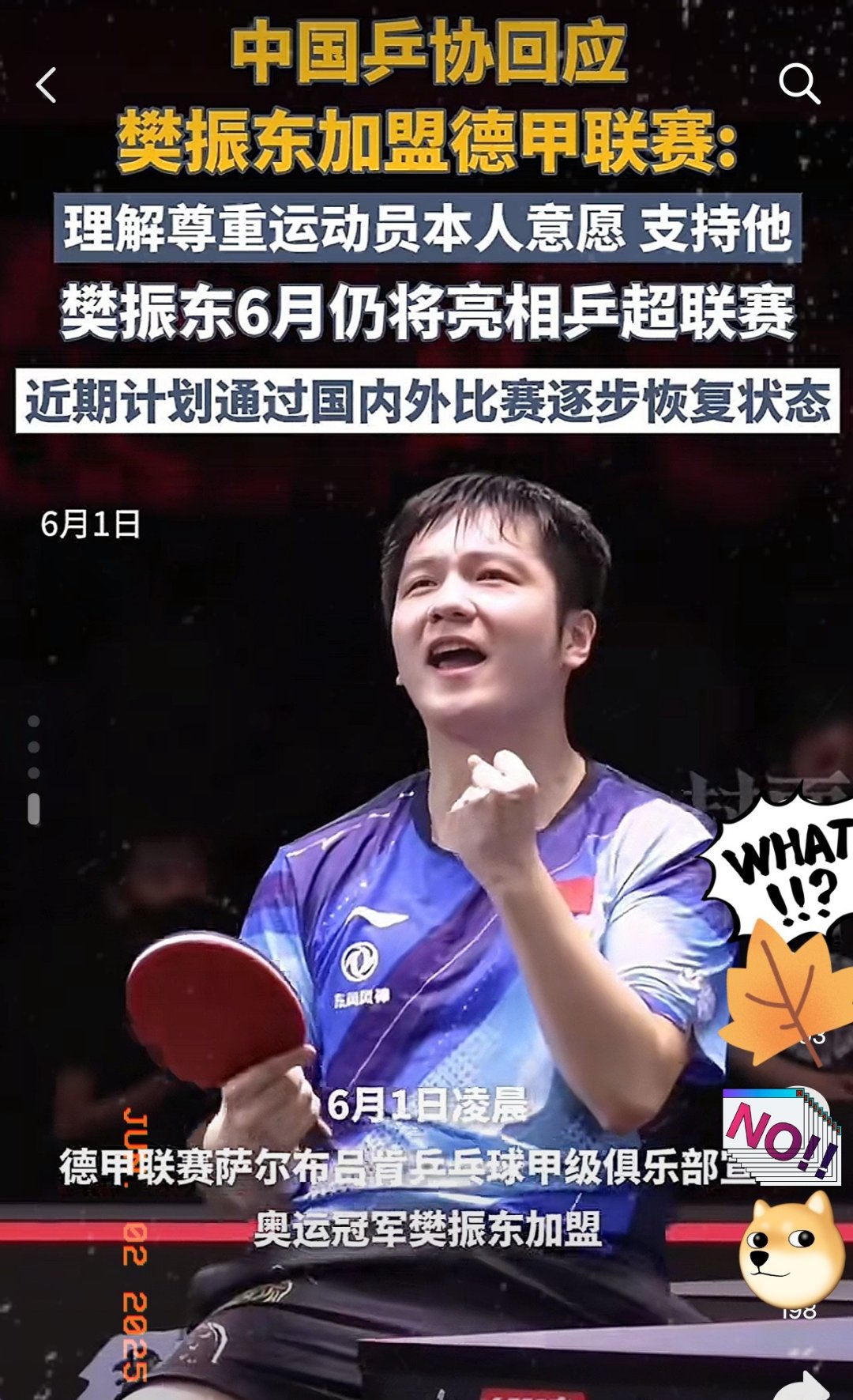 奥地利乒乓球队险胜瑞典乒乓球队，樊振东制霸全场