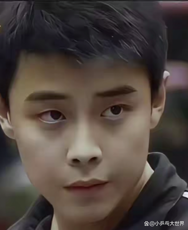 奥地利乒乓球队翻盘日本乒乓球队，王皓打破历史纪录的简单介绍