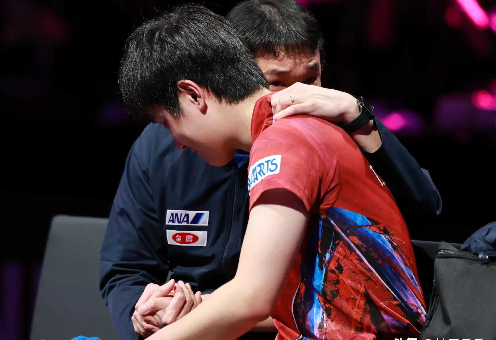 关于波兰队碾压瑞典队，张本智和点燃赛场的信息