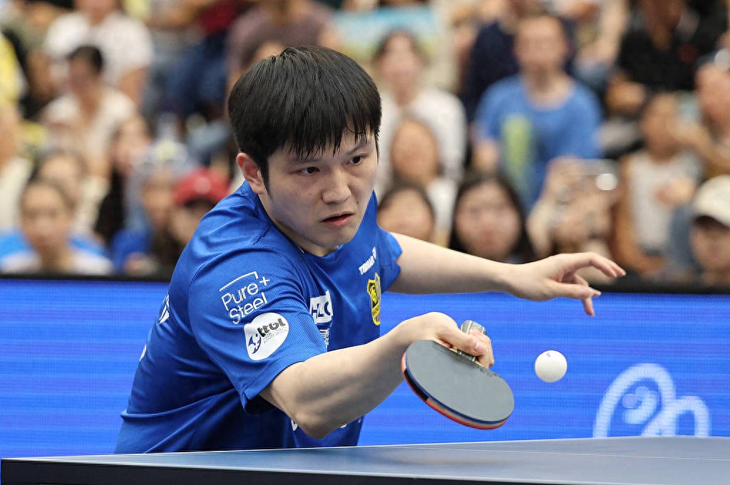德国队轻取瑞典队，樊振东惊艳四座