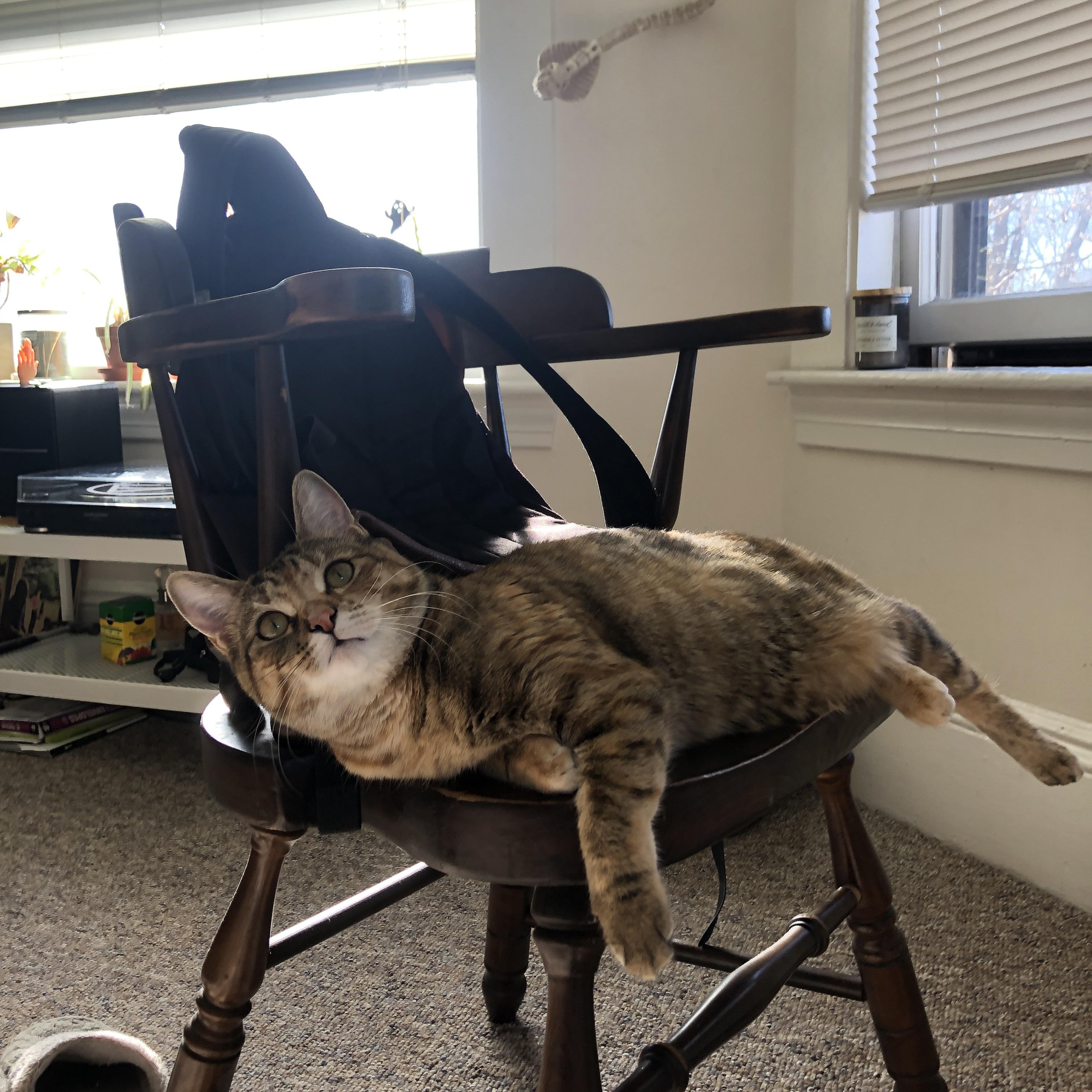 数据隐身却统治全场,当塔图姆在骑士vs勇士的战场上存在感拉满