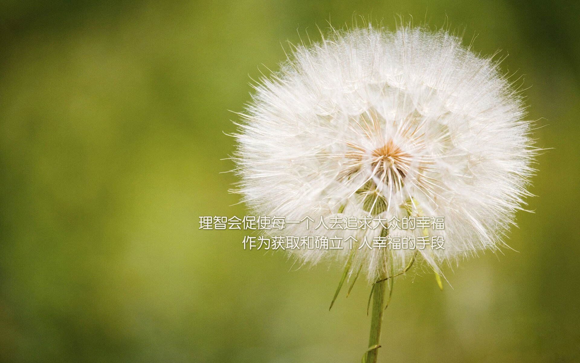 球场锁死与国境线上,当姆巴佩的防守化为埃及伸向加纳的援手