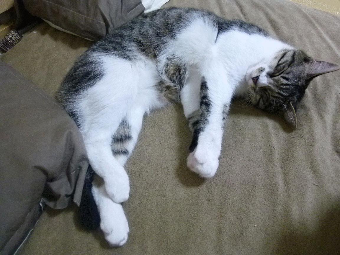 最后一战的回响，当勒布朗遇见苏亚雷斯，看加纳如何冲垮时间之墙