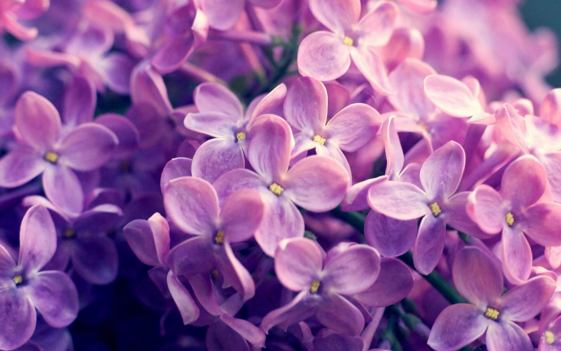 数据洪流中的孤岛，解码努涅斯爆炸之夜，足球宇宙的一次定量坍缩