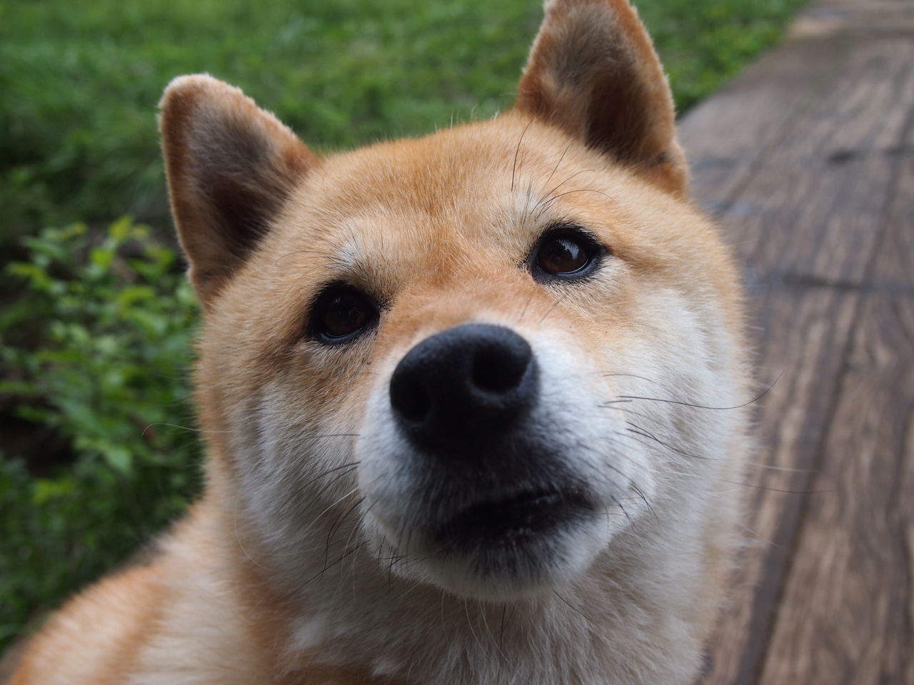 欧冠半决赛惊现跨界对决，独行侠客场稳稳战胜吉林队