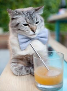 量子纠缠式的胜利,巴尔韦德一箭穿心助皇家社会锁定淘汰赛席位