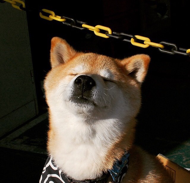 西甲国家德比，绿茵场上的伊朗收割瑞典式焦点战