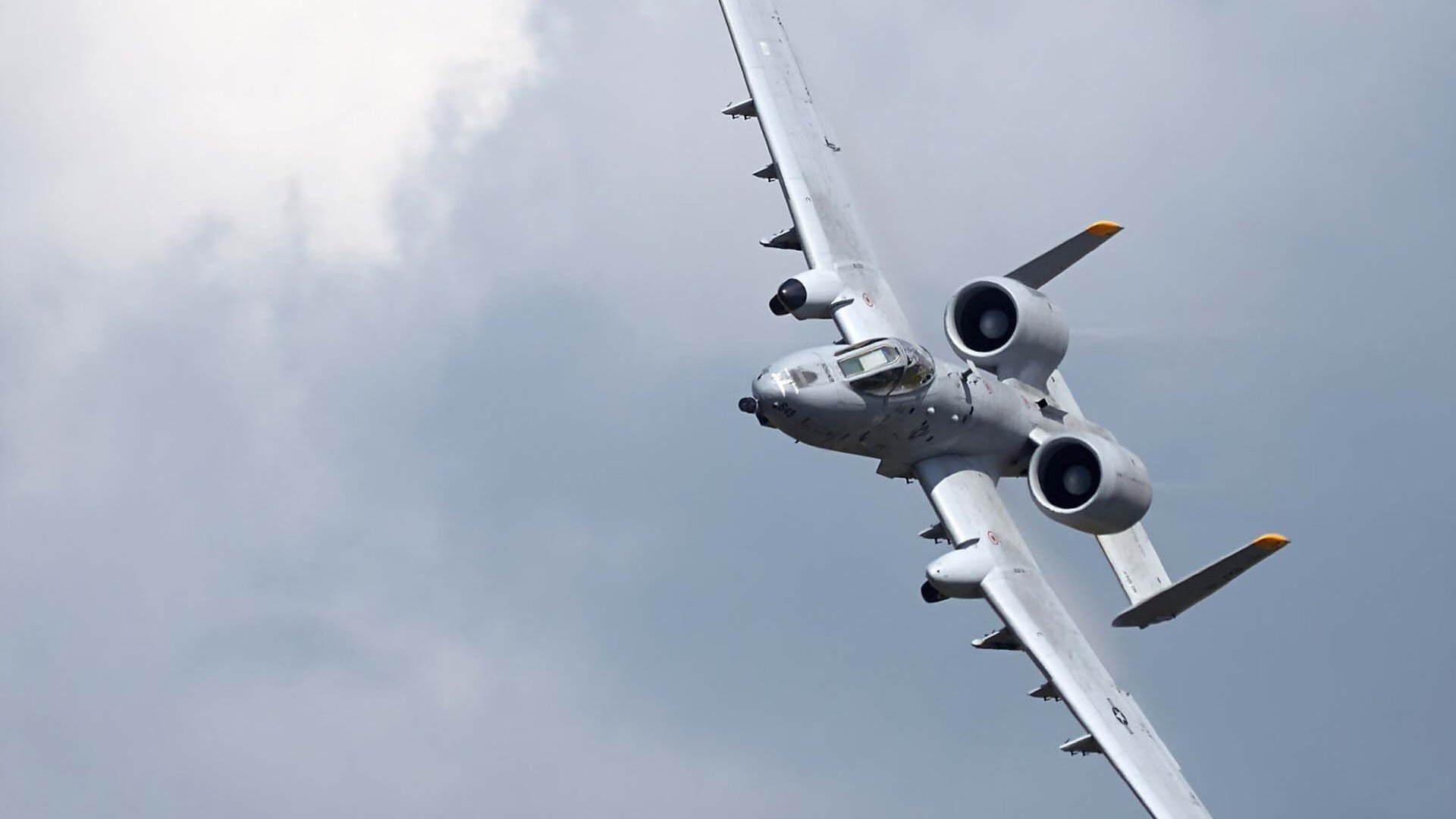 当袋鼠军团席卷文艺复兴之都，伊布如何指挥一场横跨半球的反征服