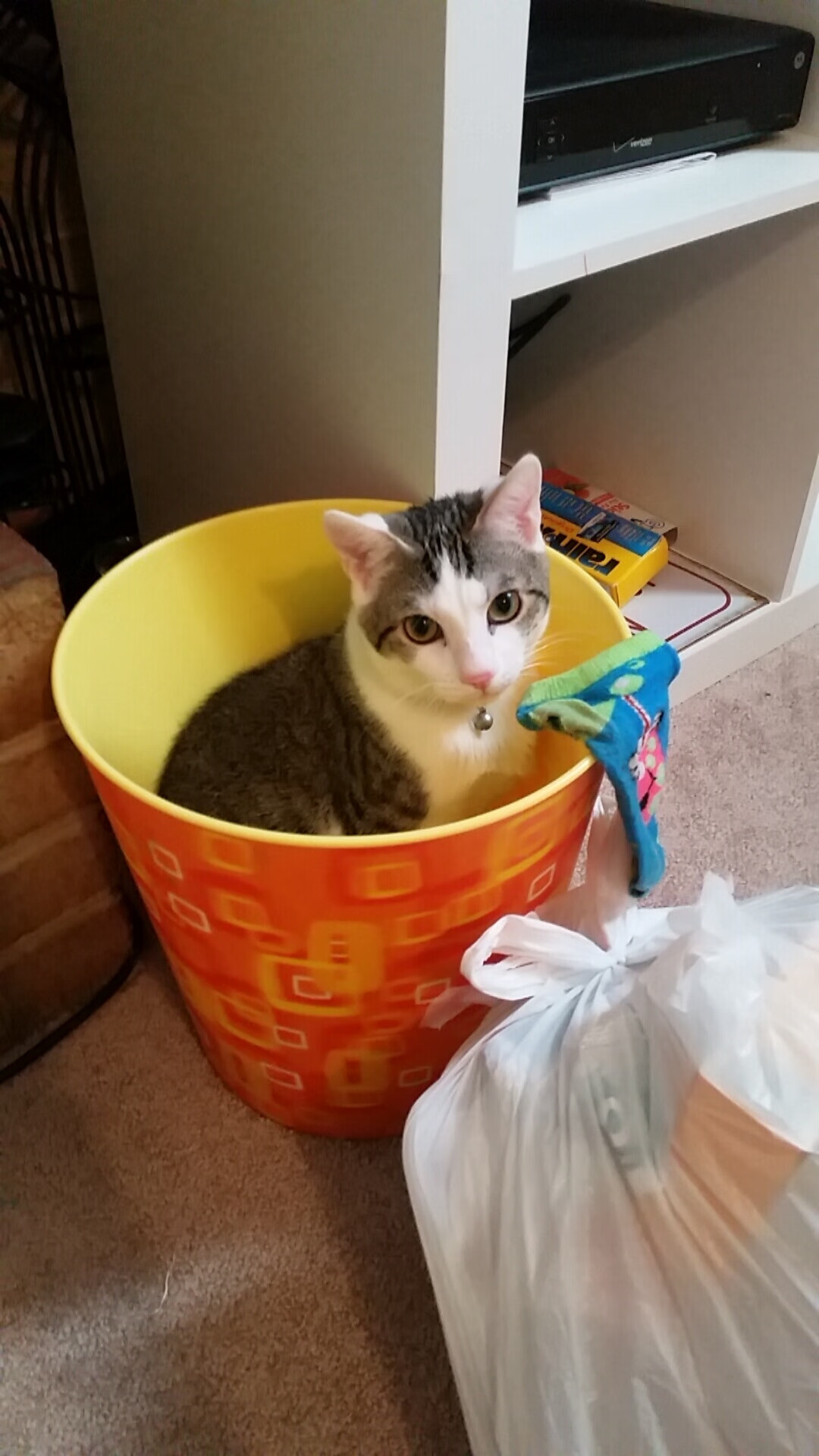 一球破心魔，莱奥在阿塞宿命之战中完成终极证明