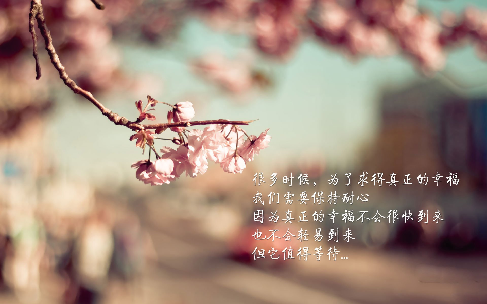 黄昏的尘土里,孙兴慜的影子拉长成一座丰碑,2026世界杯A组,印度绝杀哥伦比亚的幕后,是亚洲足球的史诗级突围