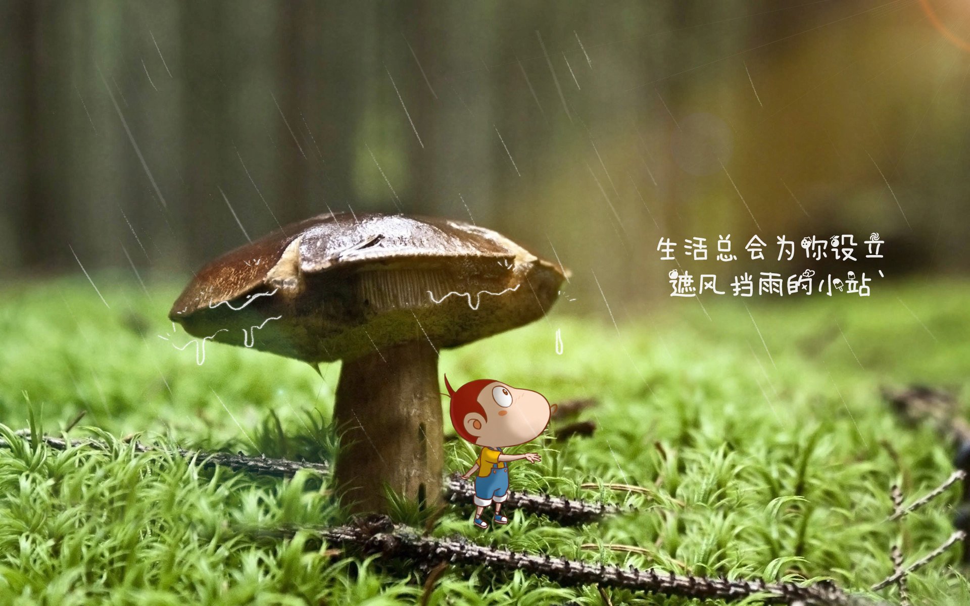 红白武士的孤影,2026世界杯B组,久保建英如何以一人之力,让波兰的完胜变成厄瓜多尔最苦涩的终章