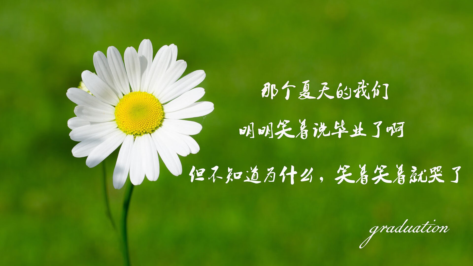 当蓝海遇见北欧海盗—2026世界杯揭幕战，乌兹别克斯坦的狂想曲与托纳利的个人史诗