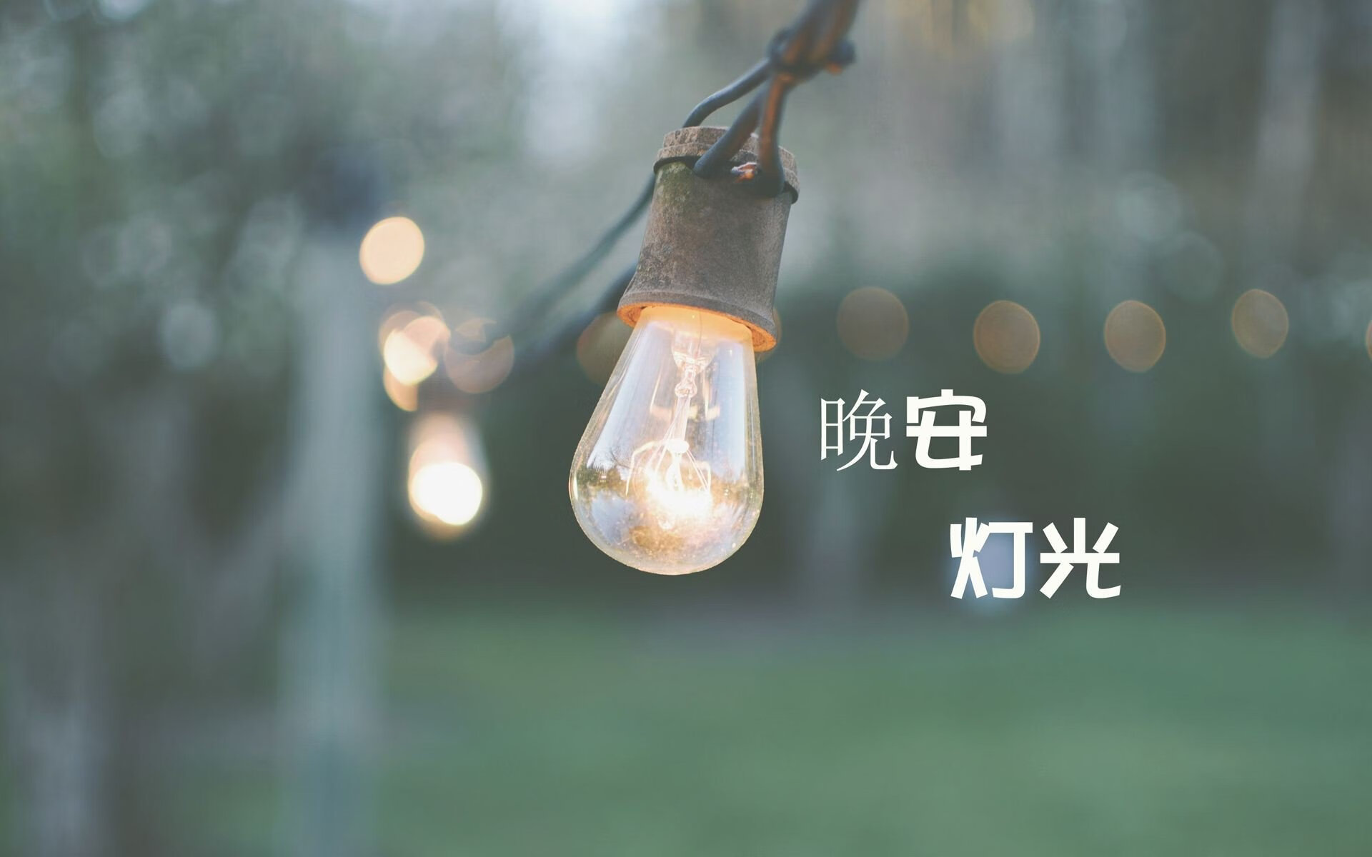 德黑兰之夜，巴雷拉闪电反击绝杀斯洛伐克，伊朗一脚踏进2026世界杯十六强