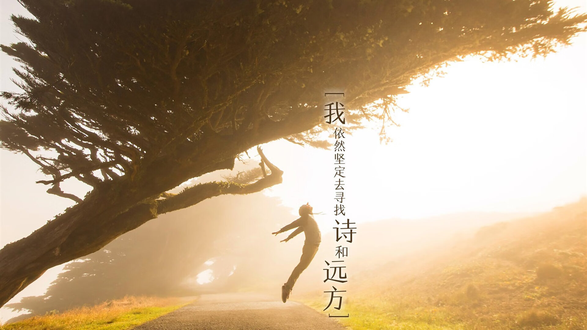 2026，当蓝武士遇见马扎尔人，莱万多夫斯基在C组写下的不唯一剧本